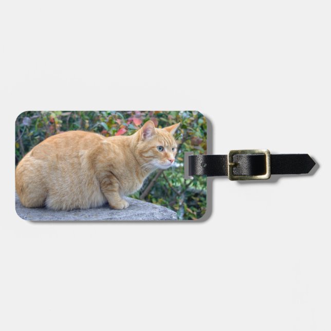 Big Red Tabby Gepäckanhänger (Vorderseite horizontal)