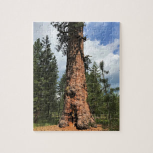 Big Red Tree, La Pine, OR