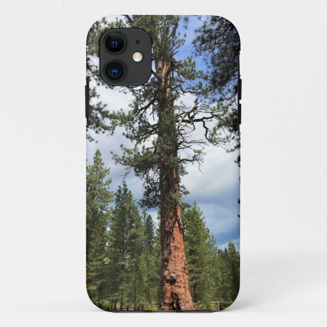 Big Red Tree, La Pine, OR Case-Mate iPhone Hülle (Rückseite)