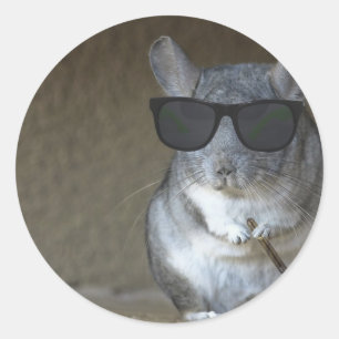 Big Shot Chinchilla Runder Aufkleber