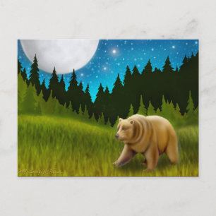 Big Sky Grizzly Postcard Postkarte