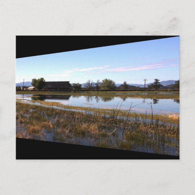 Big Springs Postkarte (Vorderseite)