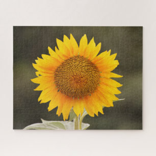 Big Sunflower Blume Puzzle
