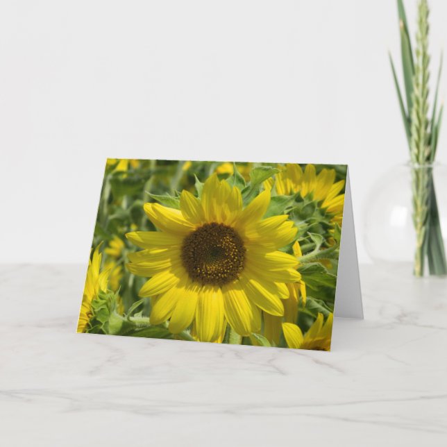 Big Sunflower Grußkarte Karte (Vorderseite)