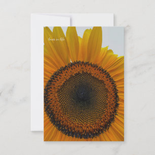 Big Sunflower Mitteilungskarte