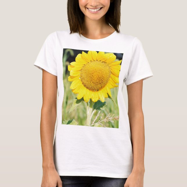 'BIG SUNFLOWER T-Shirt (Vorderseite)