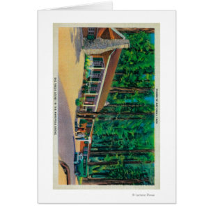 Big Trees Lodge in the Mariposa Grove