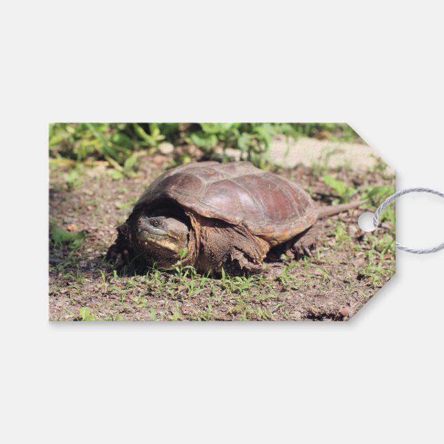 Big Typ Geschenkanhänger (Vorderseite (Horizontal))