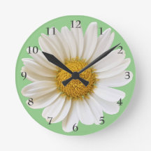 Big White Daisy auf Light Sage Green