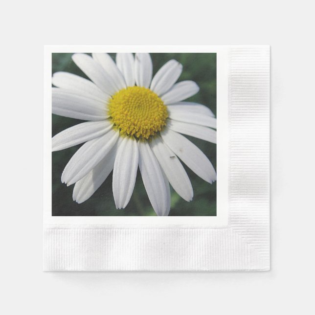 Big White Daisy Serviette (Vorderseite)
