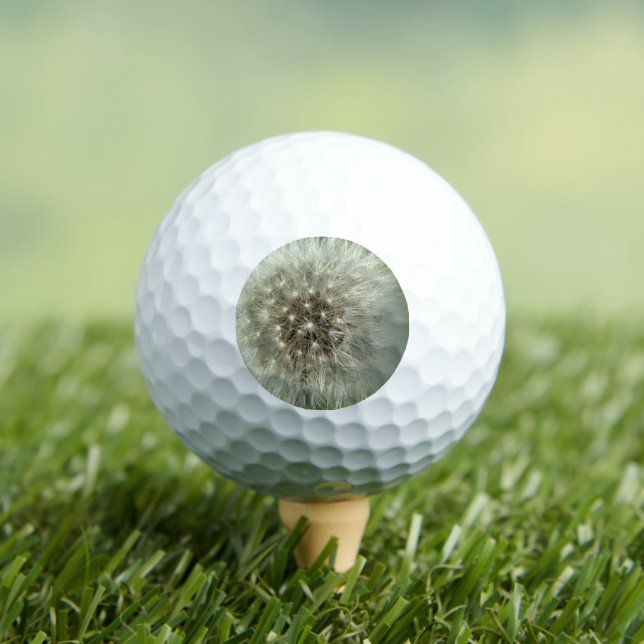 Big White Dandelion Golfball (Insitu T-Shirt)