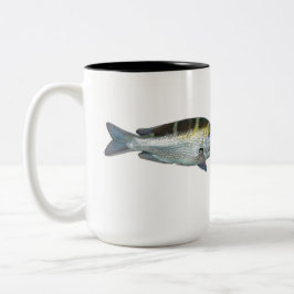 Bigeye Kaiser, Mu, Monotaxis Großoculis Zweifarbige Tasse