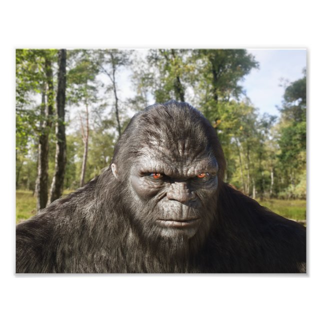 BIGFOOT SASQUATIT PORTRAIT Photo Élargissement (Devant)