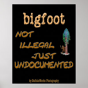 Bigfoot undokumentiert poster
