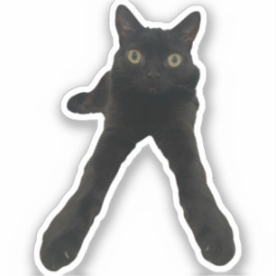 Bigfootjinx Katze Aufkleber