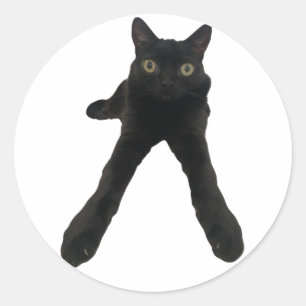 Bigfootjinx Katze Runder Aufkleber
