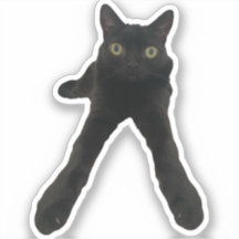 Bigfujinx