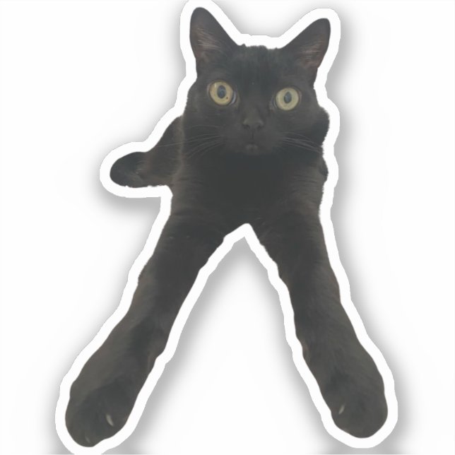 Bigfujinx Aufkleber (Vorderseite)