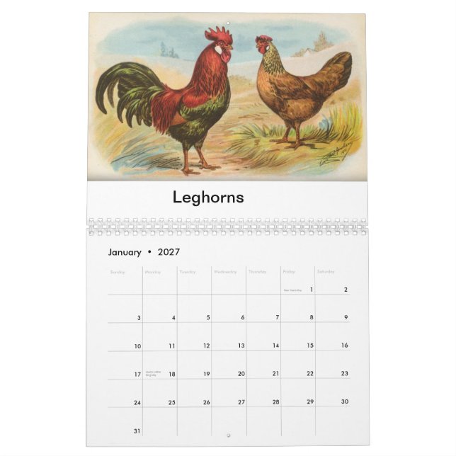 Biggle Geflügel tragen ein Kalender (Jan 2027)