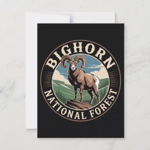 Bighorn National Forest Bighorn Sheep Postkarte