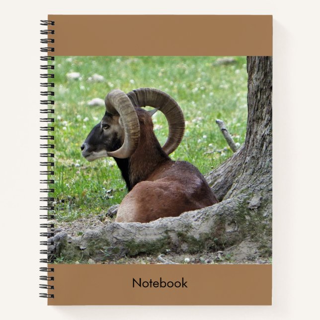 Bighorn Ram Notebook Notizbuch (Vorderseite)