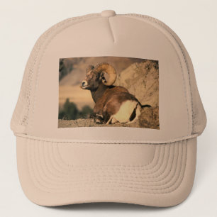 Bighorn Ram Truckerkappe