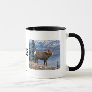 BIGHORN-SCHAF-TASSE TASSE