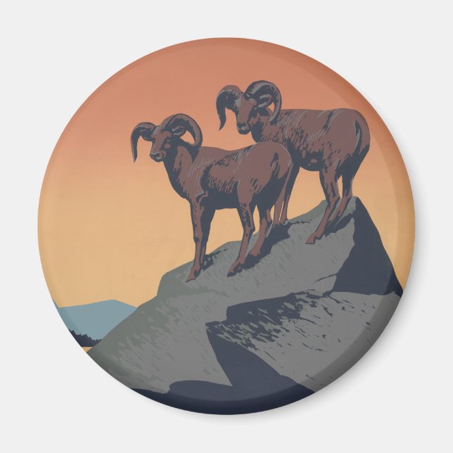 Bighorn Sheep American West Wildlife Magnet (Vorne)