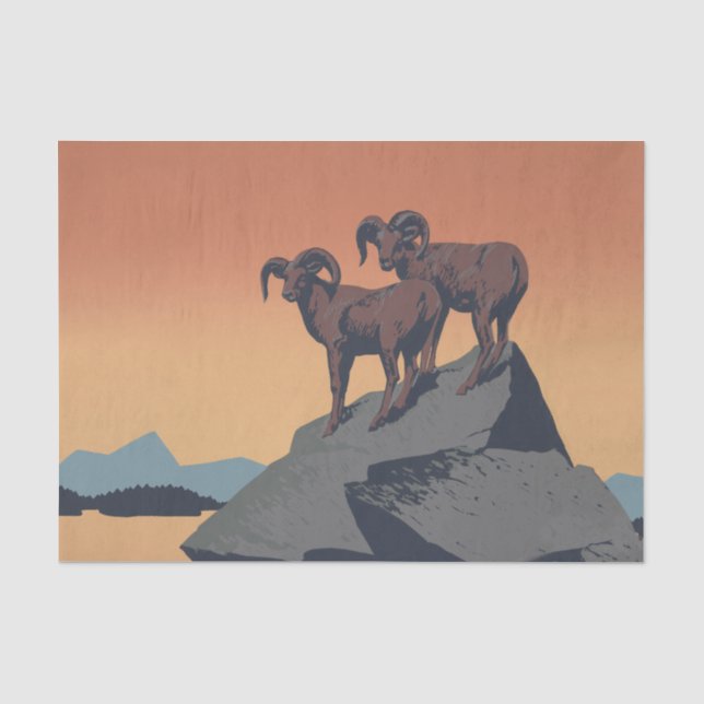 Bighorn Sheep American West Wildlife Seidenpapier (Vorderseite)