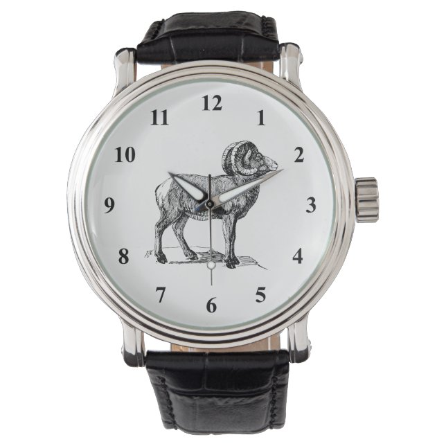 Bighorn Sheep Armbanduhr (Vorderseite)