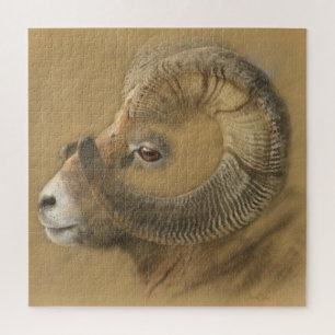 Bighorn Sheep Chalk Zeichnend