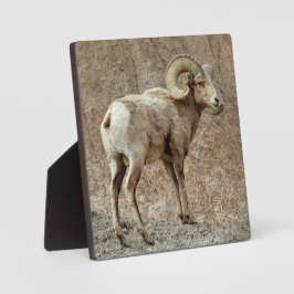Bighorn Sheep Desktop Plaque Fotoplatte