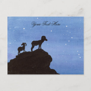 Bighorn Sheep Postkarte