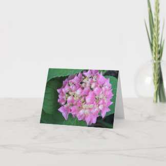 Bigleaf Hydrangea Dankeskarte