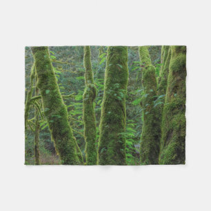 Bigleaf Maple Trees & Ferns Washingtoner Staat Fleecedecke