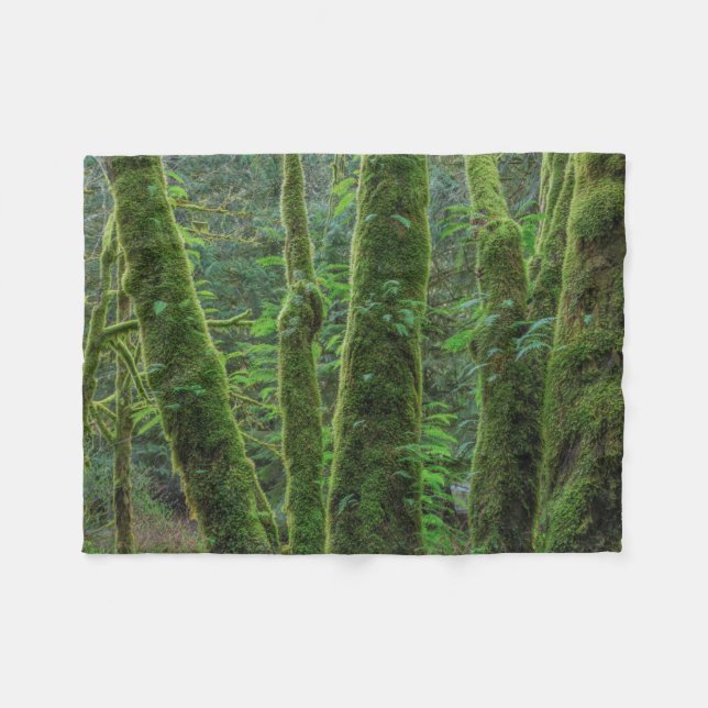 Bigleaf Maple Trees & Ferns | Washingtoner Staat Fleecedecke (Vorderseite (Horizontal))