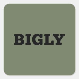 BIGLY CARRÉ STICKER