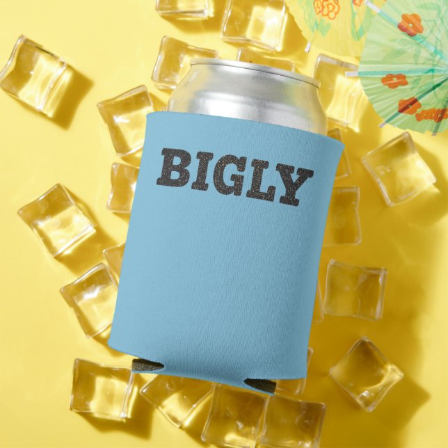 BIGLY KANN UND FLASCHE COOLER DOSENKÜHLER (In Situ Sommer)