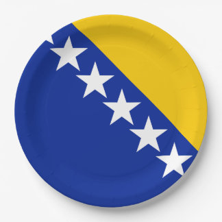 BiH Flag Coaster Pappteller