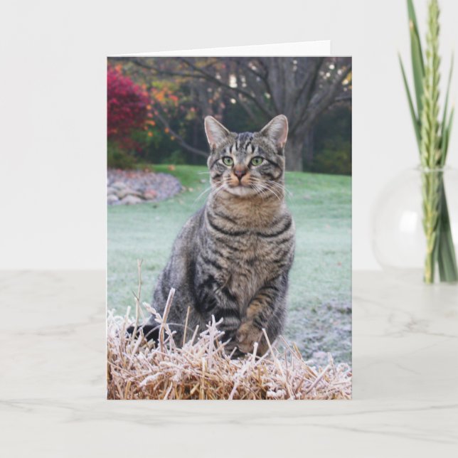 Bijou auf Stroh Karte (Vorderseite)