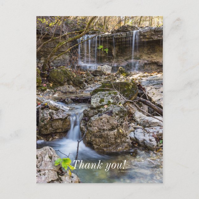 Bijou de Henning Conservation Merci Carte Postale (Devant)