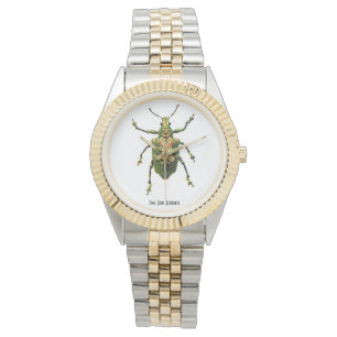 Bijoux de Montre d'insectes du scarabée