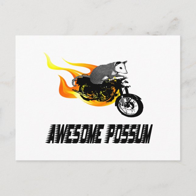 Bike Rider Phantastisch Possum Postkarte (Vorderseite)