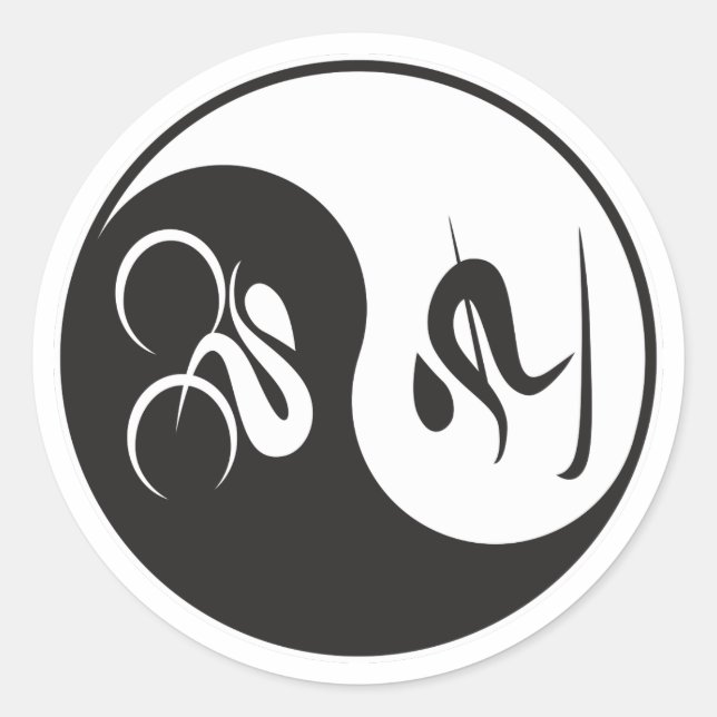 BIKE-SKI YIN-YANG RUNDER AUFKLEBER (Vorderseite)