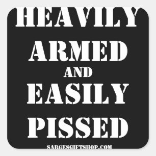 BIKER HELMET STICKER