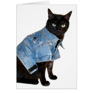 biker kitty