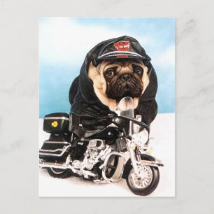 Biker Mops Hund Postkarte