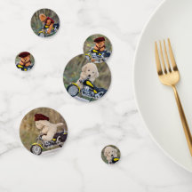 Biker Teddy Bear and Dog -