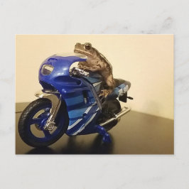 Biker Toad Postkarte