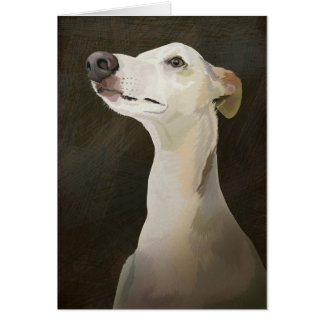 Bilbo le whippet